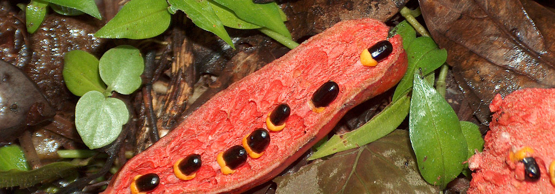 slide3 educ environnement 3