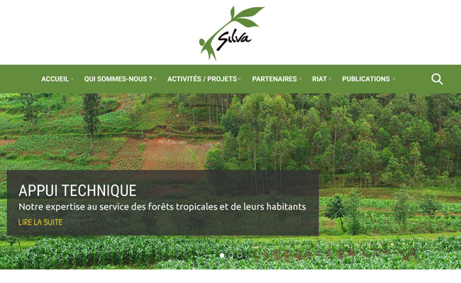 Refonte du site SILVA