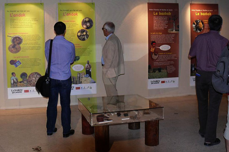 expo foret qui nourrit louppe3